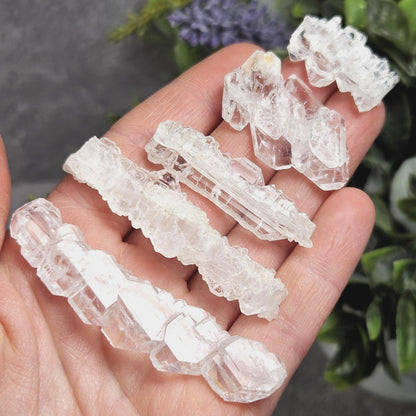 Skeletal Faden Quartz