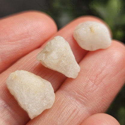 Authentic Phenacite Crystal