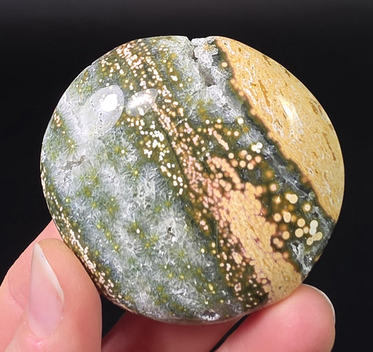 Orbicular Ocean Jasper Palm Stone