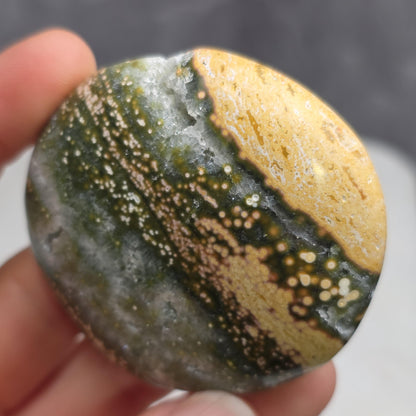 Orbicular Ocean Jasper Palm Stone