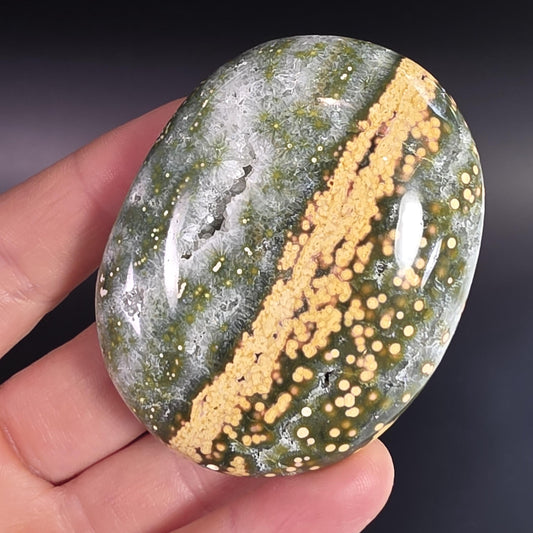Orbicular Ocean Jasper Palm Stone