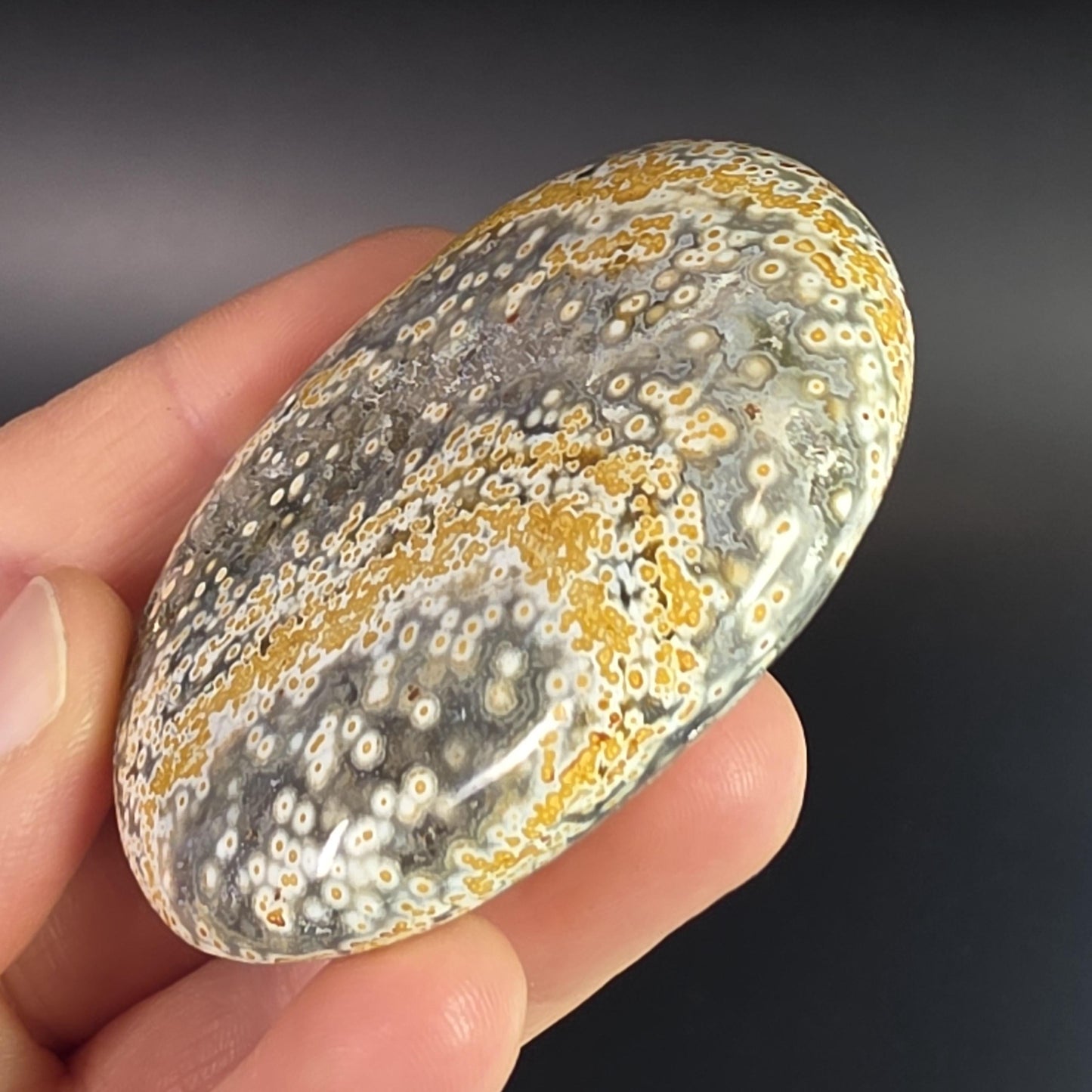 Orbicular Ocean Jasper Palm Stone