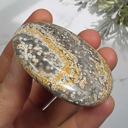 Orbicular Ocean Jasper Palm Stone