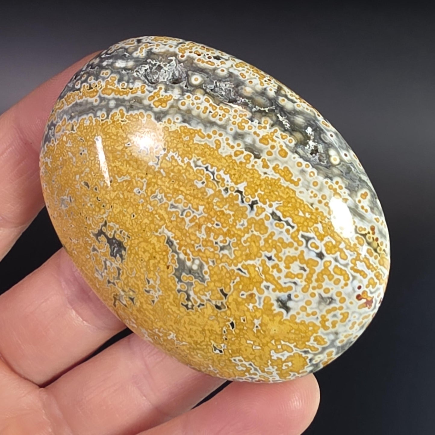 Orbicular Ocean Jasper Palm Stone