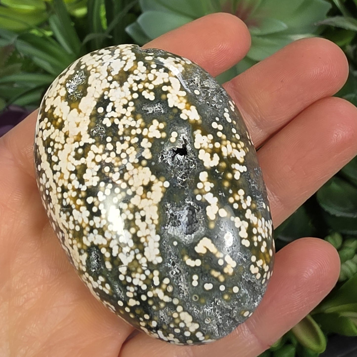 Orbicular Ocean Jasper Palm Stone