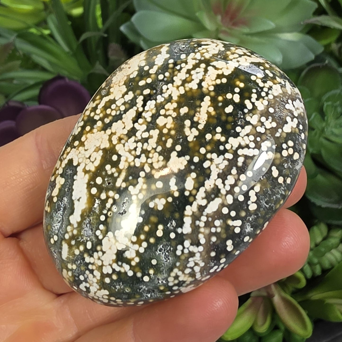 Orbicular Ocean Jasper Palm Stone