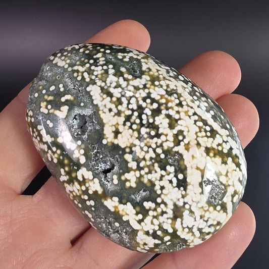 Orbicular Ocean Jasper Palm Stone