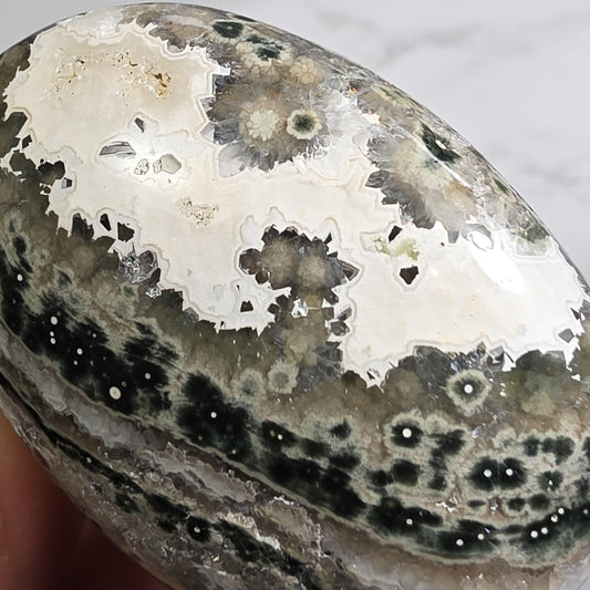 Orbicular Ocean Jasper Palm Stone