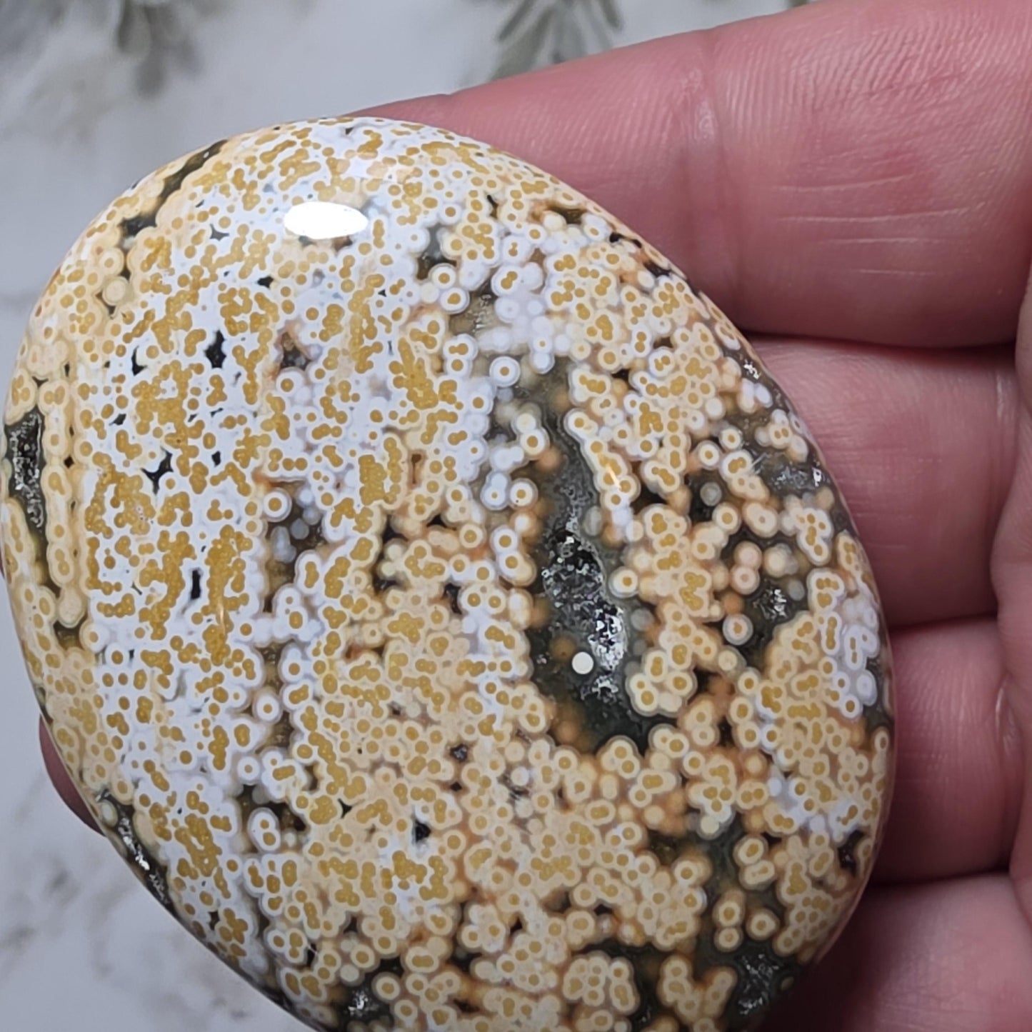 Orbicular Ocean Jasper Palm Stone
