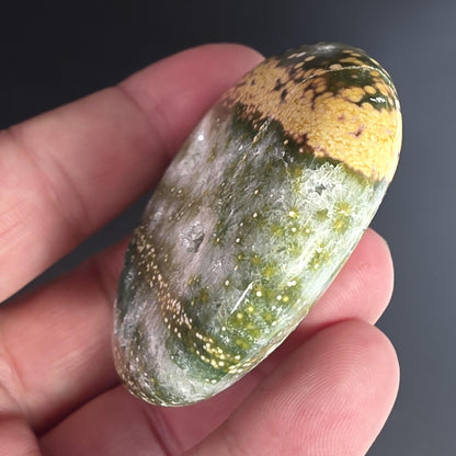Orbicular Ocean Jasper Palm Stone