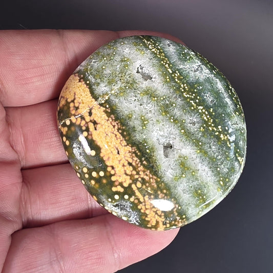 Orbicular Ocean Jasper Palm Stone