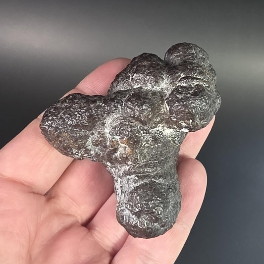 Prophecy Stone Specimen