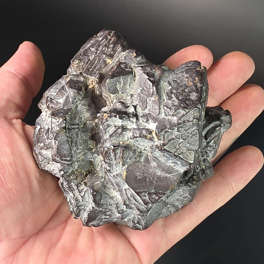 755g Prophecy Stone Specimen