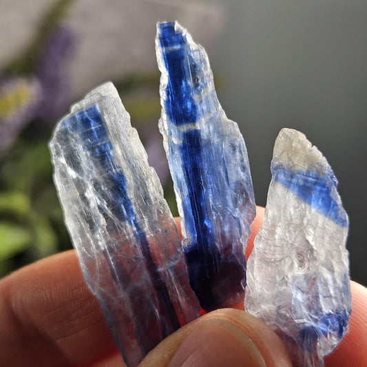 Bicolor Kyanite