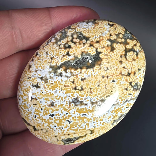 Orbicular Ocean Jasper Palm Stone