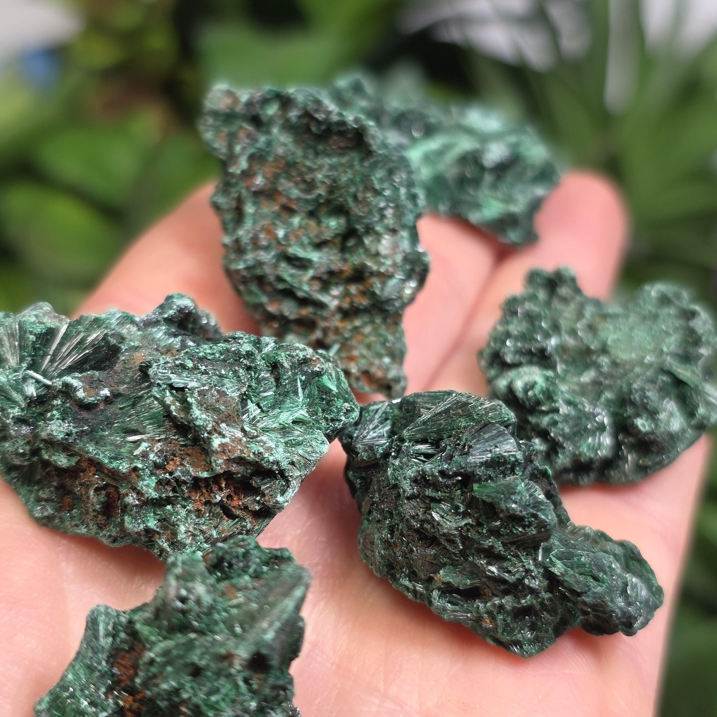 Fibrous Malachite