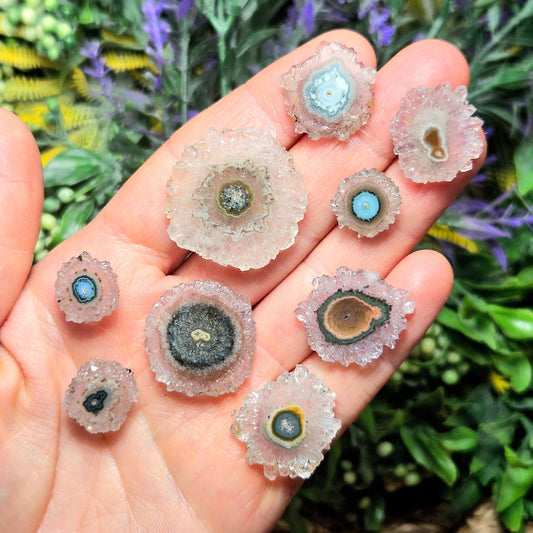 May include: Close-up view of eight flower-shaped, translucent pink amethyst geodes. Each geode displays a unique, concentric circular pattern in shades of pink, purple, brown, and black.  The central circles vary in color, including teal, brown, and yellow. These small, collectible geodes are ideal for jewelry making, crystal healing, or decorative purposes.