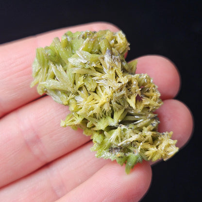 Pyromorphite Crystal