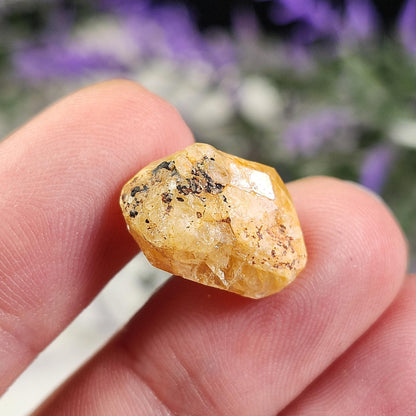 Golden Phenacite Crystal