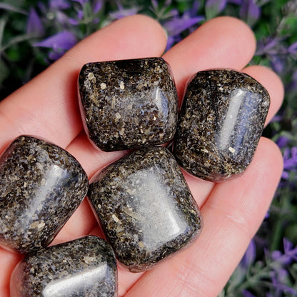 Indian Nuummite