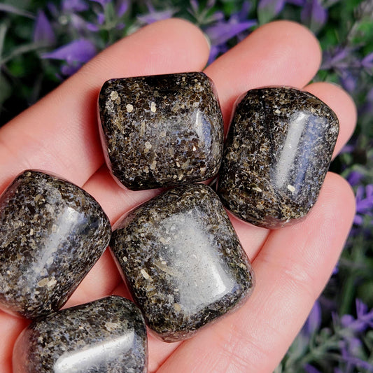 Indian Nuummite