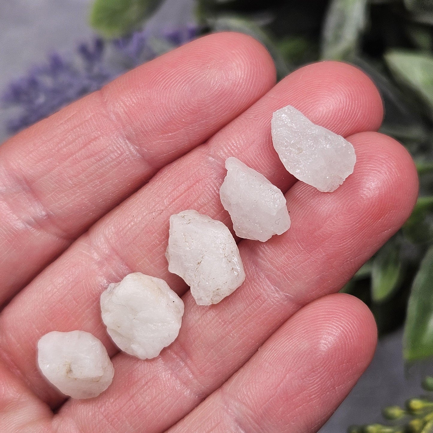 May include: Six small, white, opaque, rough-cut quartz crystals.