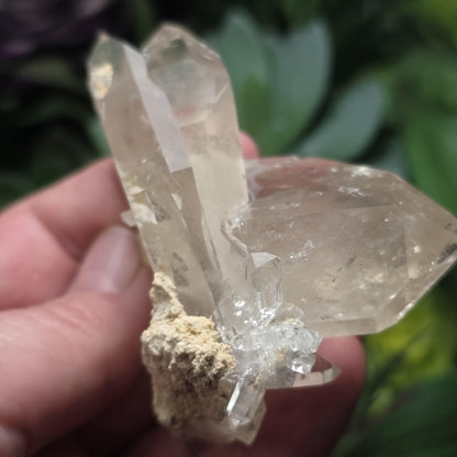 Twin MANIFESTATION Himalayan Quartz