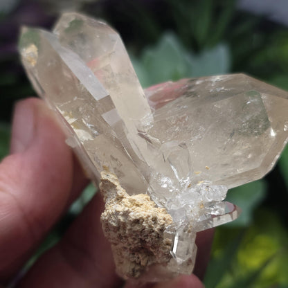 Twin MANIFESTATION Himalayan Quartz
