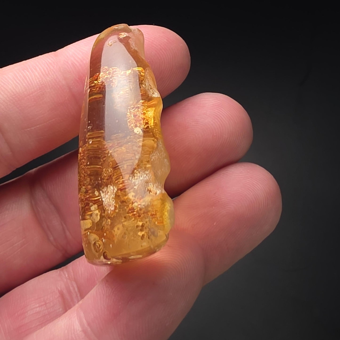 Amber with Bugs & Static ENHYDRO