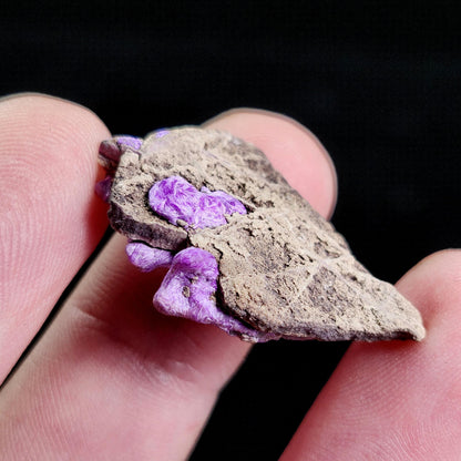 Fibrous Sugilite