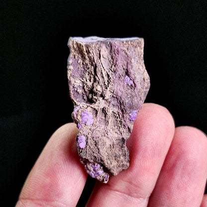 Fibrous Sugilite