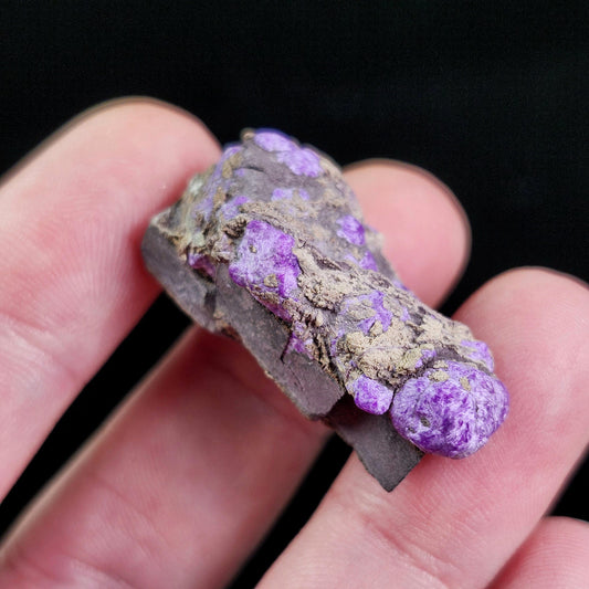 Fibrous Sugilite