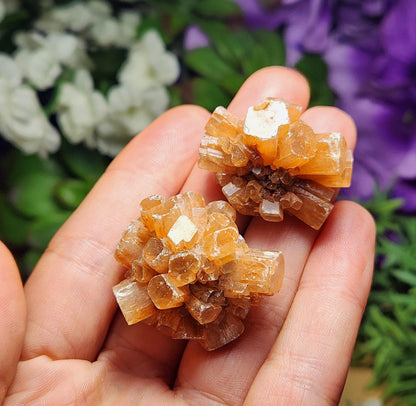 Aragonite Star Cluster