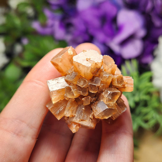 Aragonite Star Cluster