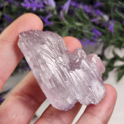 Terminated Kunzite Crystal