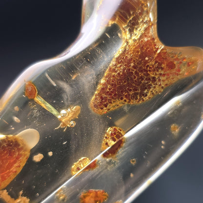Enhydro AMBER with Bugs