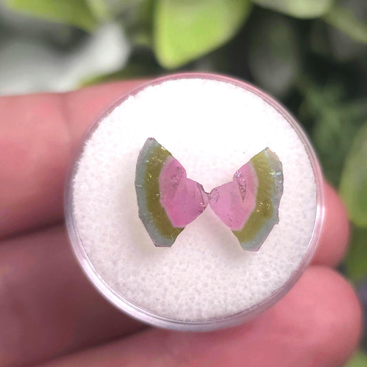 Watermelon Tourmaline Butterfly