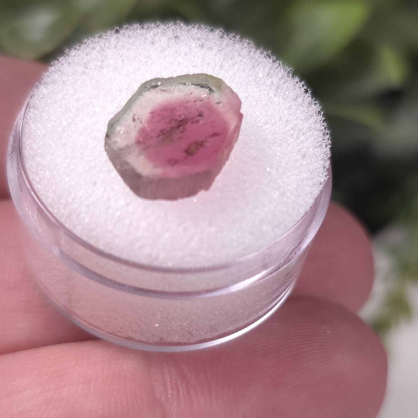 Watermelon Tourmaline Slice