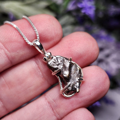 Meteorite Pendant