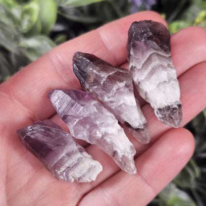 Dog Tooth Smoky Amethyst Crystal