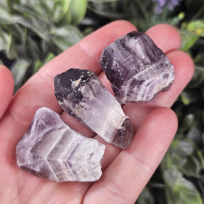 Dog Tooth Smoky Amethyst Crystal