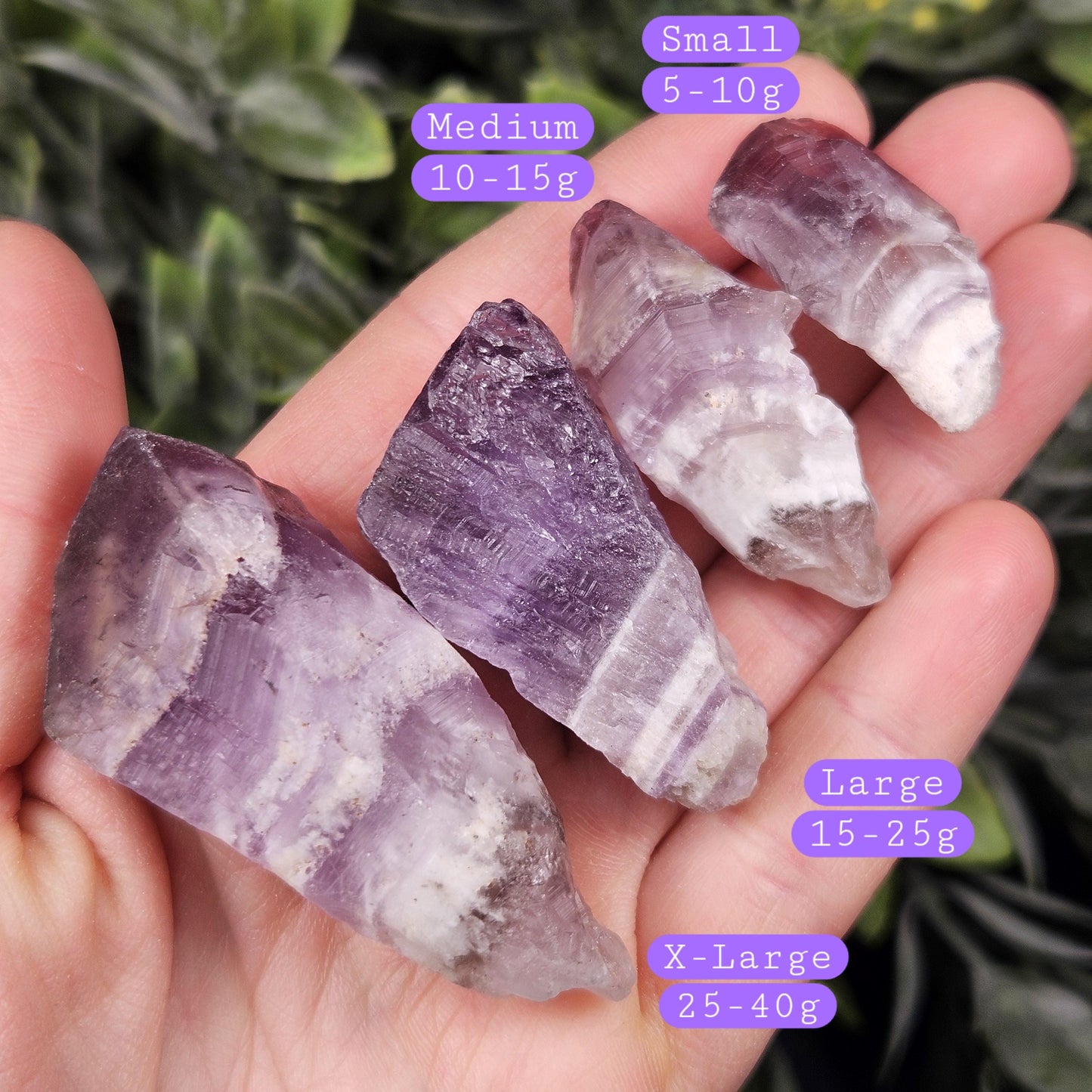 Dog Tooth Smoky Amethyst Crystal