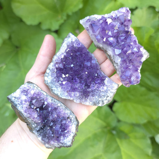 Raw Amethyst Cluster