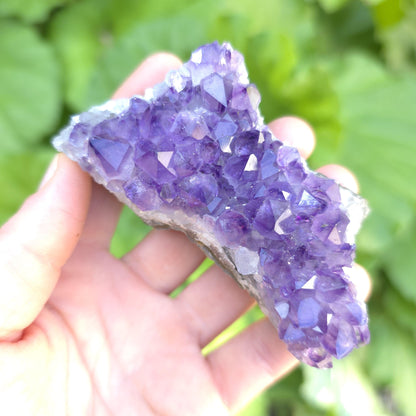 Raw Amethyst Cluster