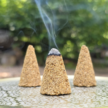 Palo Santo Cone Incense (Set of 3)