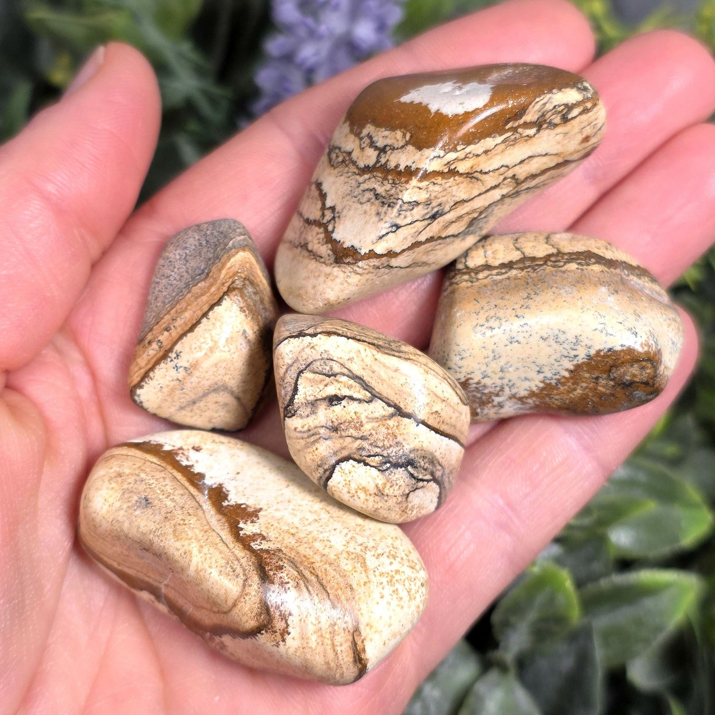 Picture Jasper Stone