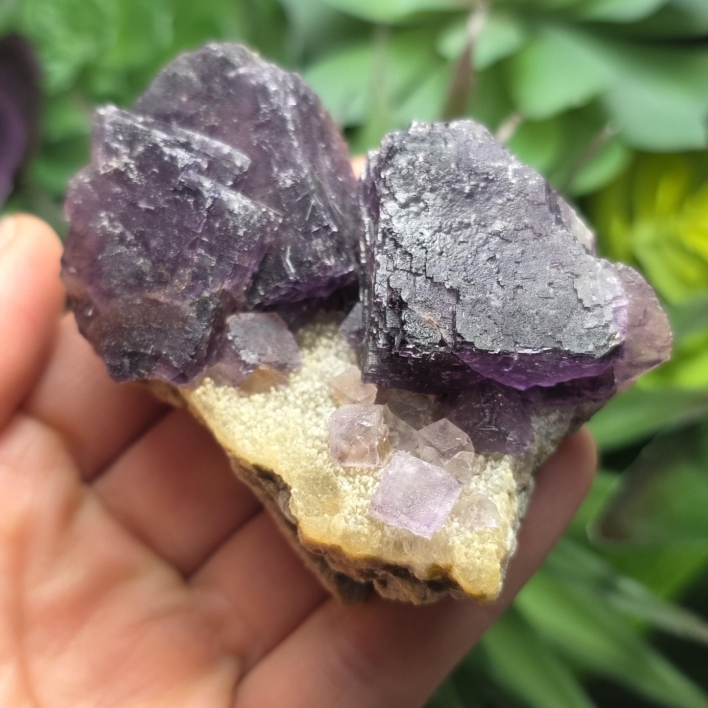 Purple Cubic Fluorite Crystal