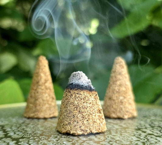 Palo Santo Cone Incense (Set of 3)