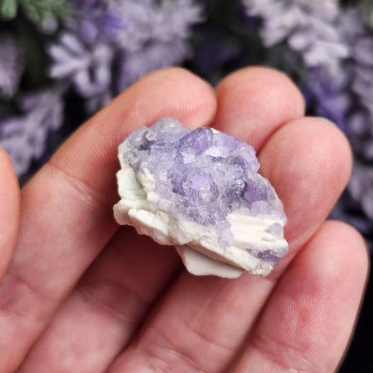 Purple Apatite