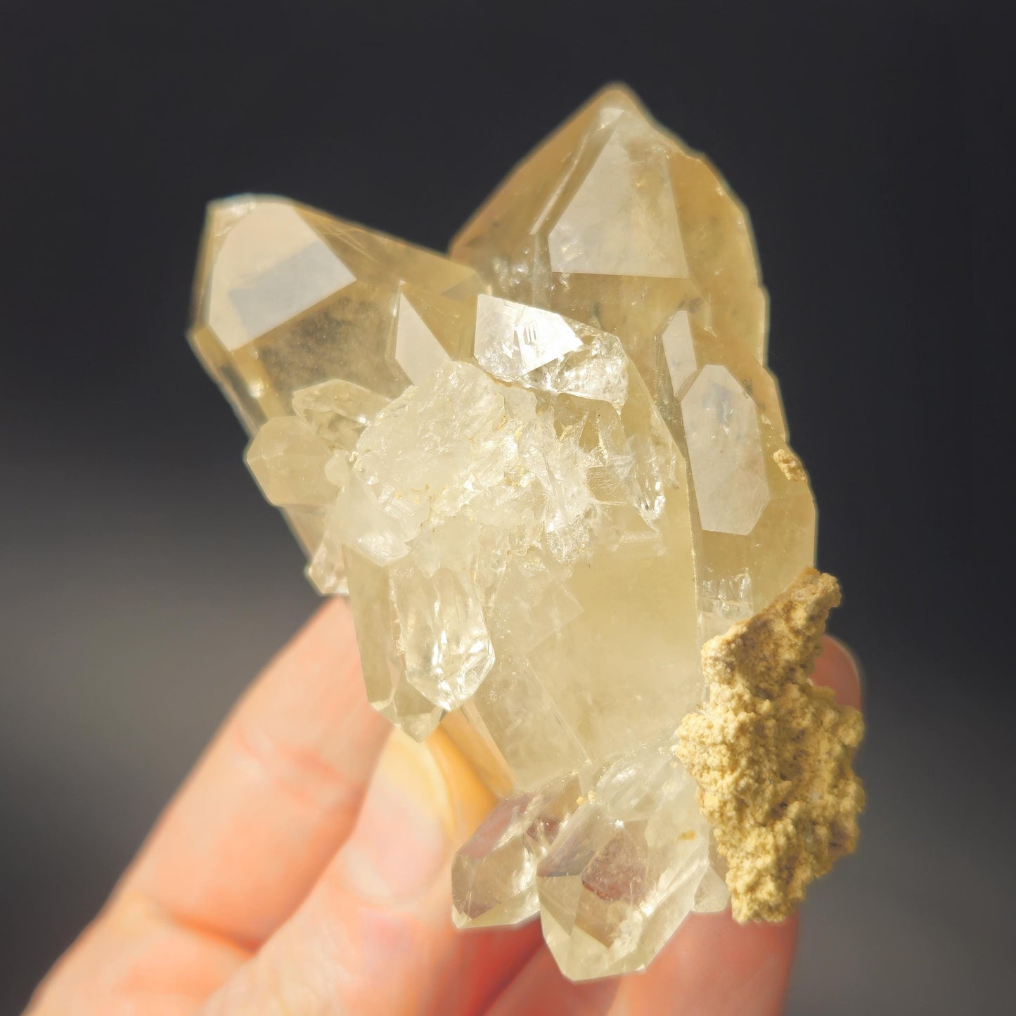 Twin MANIFESTATION Himalayan Quartz